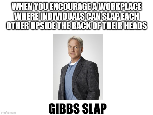 Let's bring head slapping to the workplace | WHEN YOU ENCOURAGE A WORKPLACE WHERE INDIVIDUALS CAN SLAP EACH OTHER UPSIDE THE BACK OF THEIR HEADS; GIBBS SLAP | image tagged in ncis | made w/ Imgflip meme maker