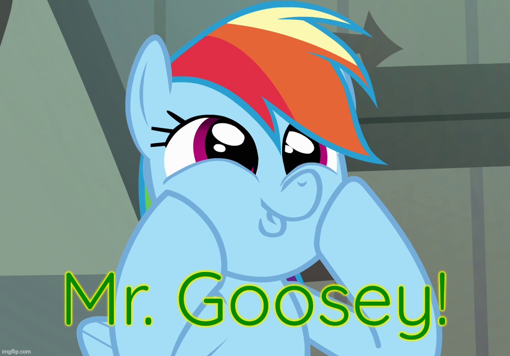 Dashface (MLP) | Mr. Goosey! | image tagged in dashface mlp | made w/ Imgflip meme maker