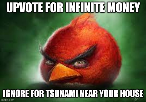LOl plz upvote | UPVOTE FOR INFINITE MONEY; IGNORE FOR TSUNAMI NEAR YOUR HOUSE | image tagged in realistic red angry birds | made w/ Imgflip meme maker