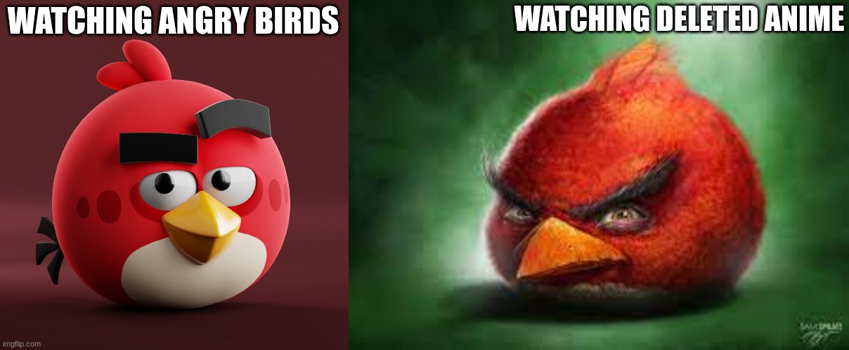facts | WATCHING DELETED ANIME; WATCHING ANGRY BIRDS | image tagged in amazingly red,realistic red angry birds | made w/ Imgflip meme maker
