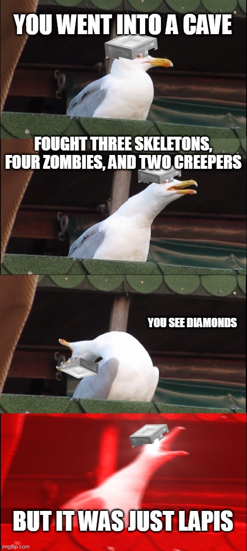 noooooooooooooooo | YOU WENT INTO A CAVE; FOUGHT THREE SKELETONS, FOUR ZOMBIES, AND TWO CREEPERS; YOU SEE DIAMONDS; BUT IT WAS JUST LAPIS | image tagged in memes,inhaling seagull,minecraft | made w/ Imgflip meme maker