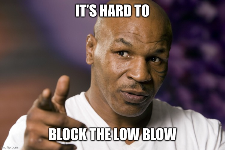 Mike Tyson  | IT’S HARD TO BLOCK THE LOW BLOW | image tagged in mike tyson | made w/ Imgflip meme maker