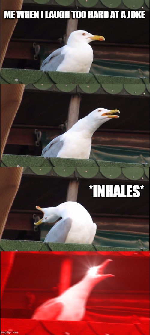 Inhaling Seagull | ME WHEN I LAUGH TOO HARD AT A JOKE; *INHALES* | image tagged in memes,inhaling seagull | made w/ Imgflip meme maker