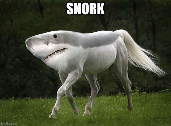 shork | SNORK | image tagged in shork | made w/ Imgflip meme maker