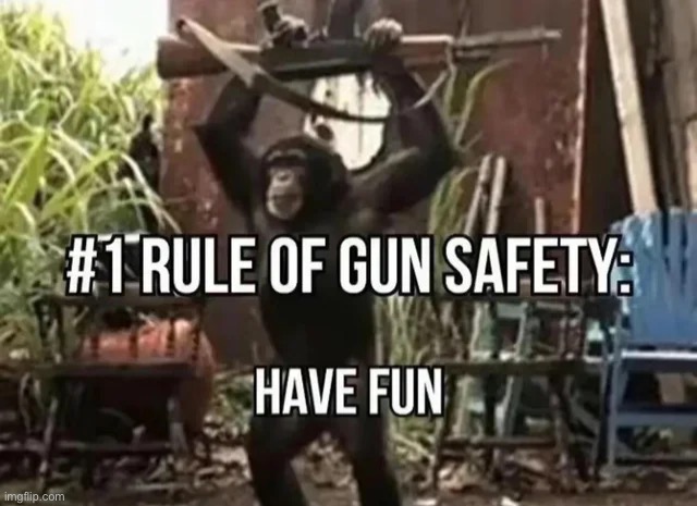 Should I post in politics? | image tagged in funny memes,gun control | made w/ Imgflip meme maker