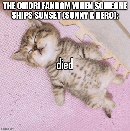 slander 2 | THE OMORI FANDOM WHEN SOMEONE SHIPS SUNSET (SUNNY X HERO): | image tagged in cat died | made w/ Imgflip meme maker