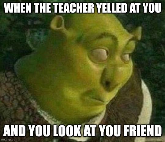 oops shrek | WHEN THE TEACHER YELLED AT YOU; AND YOU LOOK AT YOU FRIEND | image tagged in oops shrek | made w/ Imgflip meme maker