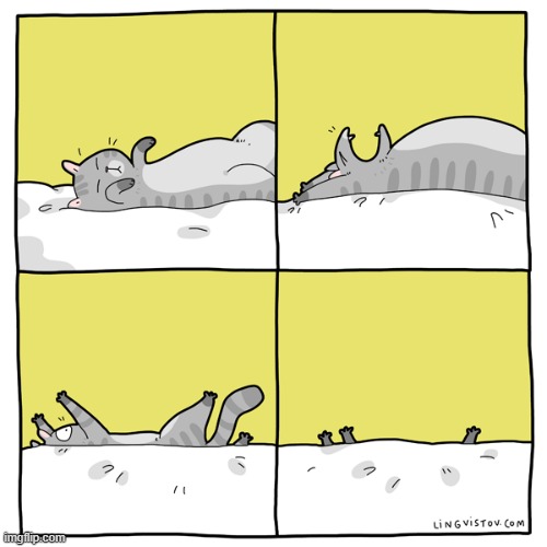 A Cat's Way Of Thinking | image tagged in memes,comics/cartoons,cats,sleeping,stretching,off bed | made w/ Imgflip meme maker