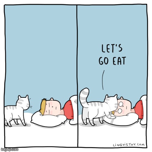 A Cat Guy's Way Of Thinking | image tagged in memes,comics/cartoons,sleeping,cats,eat,oh really | made w/ Imgflip meme maker