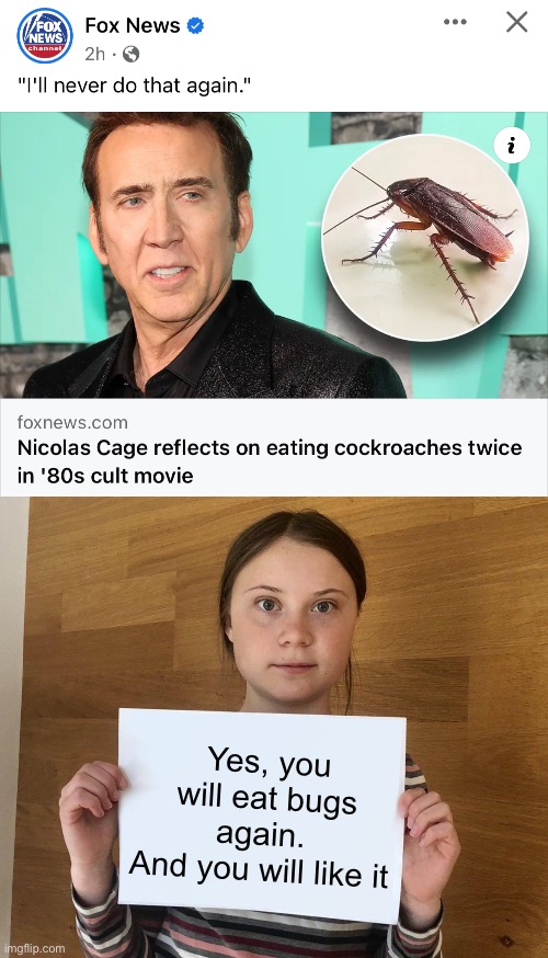 Bugs, it’s what’s for dinner | Yes, you will eat bugs again. 
And you will like it | image tagged in greta,politics lol,memes | made w/ Imgflip meme maker