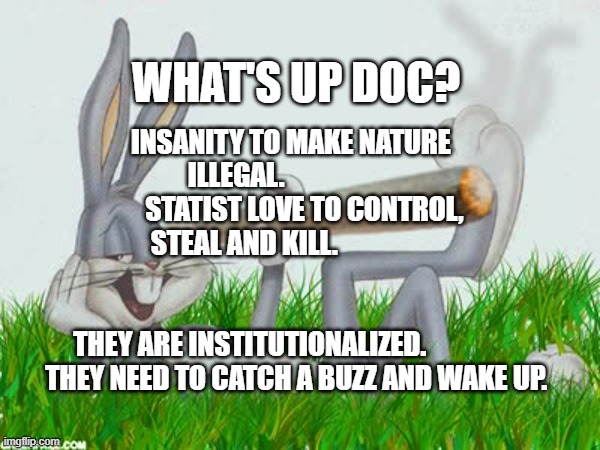 420 | INSANITY TO MAKE NATURE ILLEGAL.                          STATIST LOVE TO CONTROL, STEAL AND KILL.                                                               
  THEY ARE INSTITUTIONALIZED.                    THEY NEED TO CATCH A BUZZ AND WAKE UP. WHAT'S UP DOC? | image tagged in 420 | made w/ Imgflip meme maker