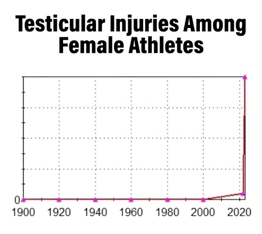 Testicular injury of female athletes Blank Meme Template
