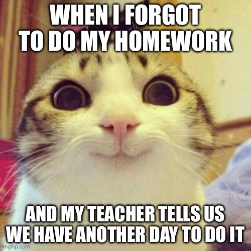 Smiling Cat | WHEN I FORGOT TO DO MY HOMEWORK; AND MY TEACHER TELLS US WE HAVE ANOTHER DAY TO DO IT | image tagged in memes,smiling cat | made w/ Imgflip meme maker