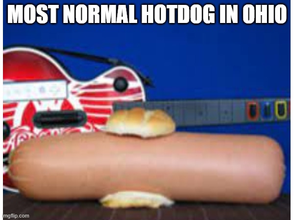 Can't even eat in ohio | MOST NORMAL HOTDOG IN OHIO | image tagged in only in ohio,hotdog | made w/ Imgflip meme maker