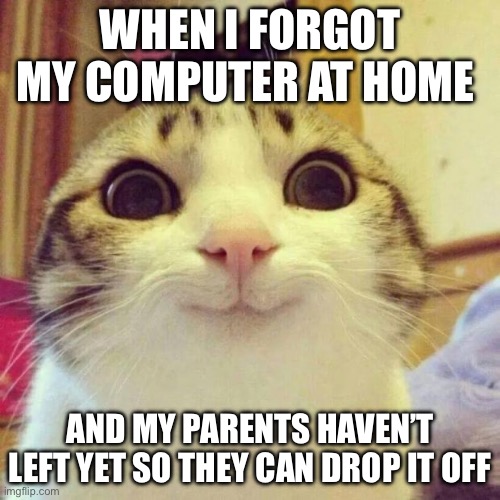 Smiling Cat | WHEN I FORGOT MY COMPUTER AT HOME; AND MY PARENTS HAVEN’T LEFT YET SO THEY CAN DROP IT OFF | image tagged in memes,smiling cat | made w/ Imgflip meme maker
