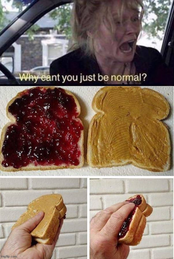 image tagged in why can't you just be normal | made w/ Imgflip meme maker