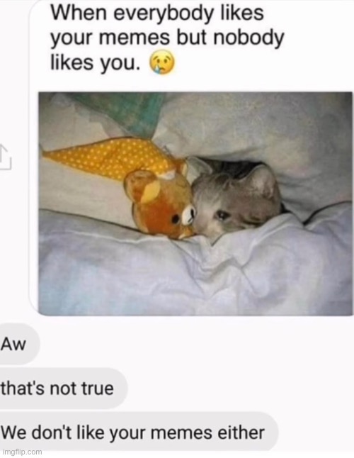 made w/ Imgflip meme maker