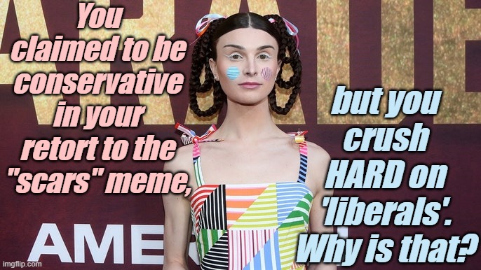 TransGender - 'liberals' Celebrating Childish Insanity | You claimed to be conservative in your retort to the "scars" meme, but you crush HARD on 'liberals'. Why is that? | image tagged in transgender - 'liberals' celebrating childish insanity | made w/ Imgflip meme maker