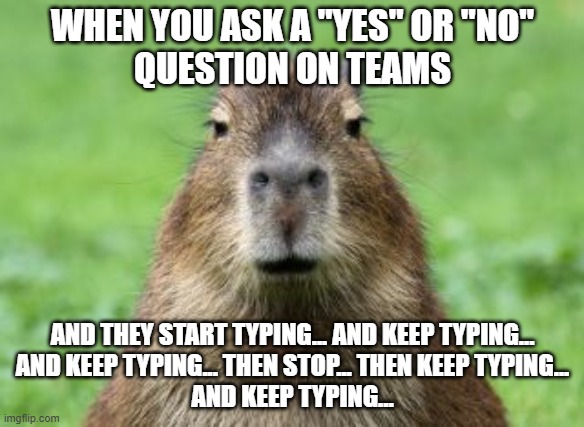 Disappointed Capybara | WHEN YOU ASK A "YES" OR "NO"
QUESTION ON TEAMS; AND THEY START TYPING... AND KEEP TYPING...
AND KEEP TYPING... THEN STOP... THEN KEEP TYPING...
AND KEEP TYPING... | image tagged in disappointed capybara | made w/ Imgflip meme maker