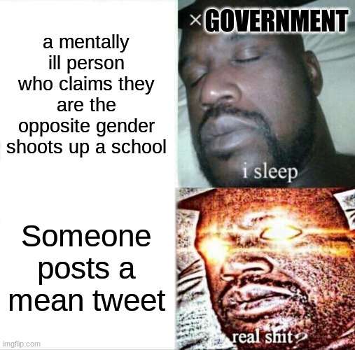 SCREW THE GOVERNMENT | GOVERNMENT; a mentally ill person who claims they are the opposite gender shoots up a school; Someone posts a mean tweet | image tagged in memes,sleeping shaq | made w/ Imgflip meme maker