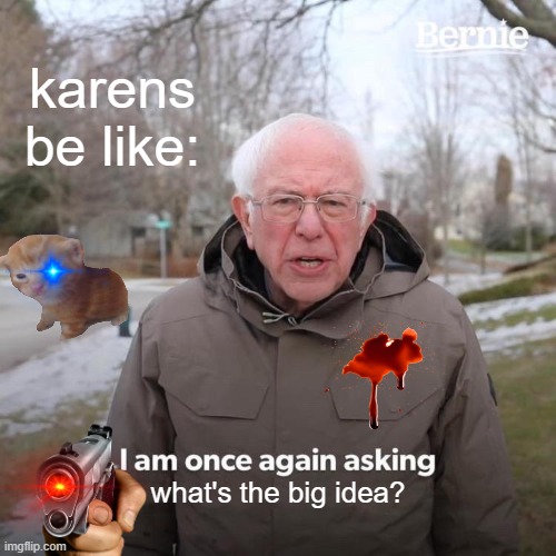 BRUH!!! | karens be like:; what's the big idea? | image tagged in memes,bernie i am once again asking for your support | made w/ Imgflip meme maker