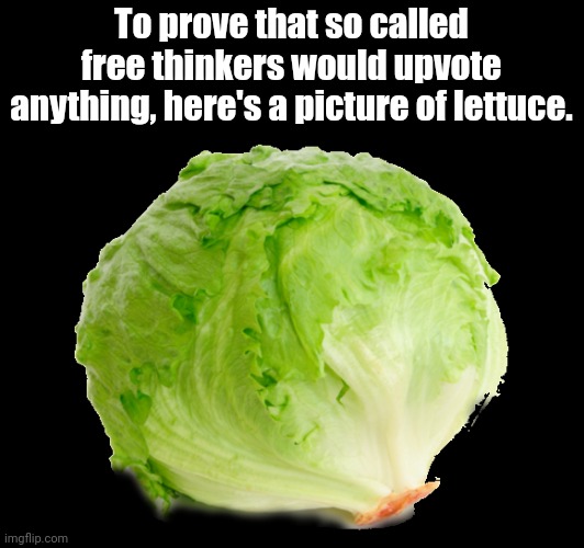 Upvote in the next ten seconds or Slenderman will eat you alive tonight | To prove that so called free thinkers would upvote anything, here's a picture of lettuce. | image tagged in funny,fun,memes,experiment | made w/ Imgflip meme maker