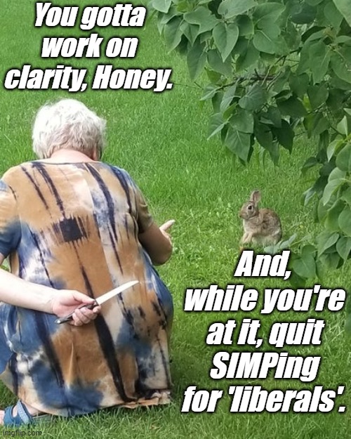 grandma hiding knife rabbit | You gotta work on clarity, Honey. And, while you're at it, quit SIMPing for 'liberals'. | image tagged in grandma hiding knife rabbit | made w/ Imgflip meme maker