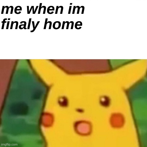 High Quality im finaly home Blank Meme Template