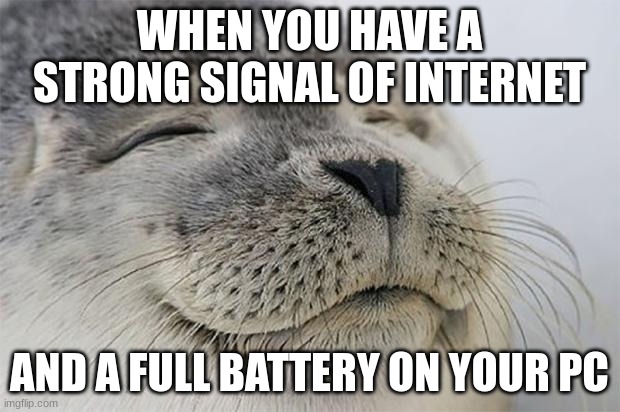 it's a good feeling, until the battery reaches 15% | WHEN YOU HAVE A STRONG SIGNAL OF INTERNET; AND A FULL BATTERY ON YOUR PC | image tagged in memes,satisfied seal | made w/ Imgflip meme maker