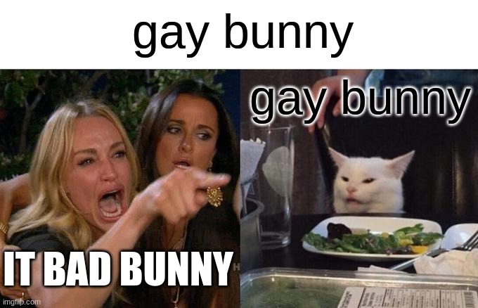 when someone says it gay bunny | gay bunny; gay bunny; IT BAD BUNNY | image tagged in memes,woman yelling at cat | made w/ Imgflip meme maker