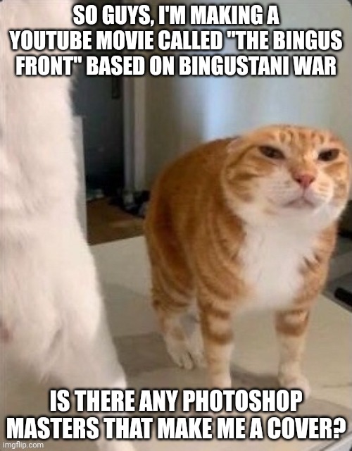 Schizophrenic Cat.pdf | SO GUYS, I'M MAKING A YOUTUBE MOVIE CALLED "THE BINGUS FRONT" BASED ON BINGUSTANI WAR; IS THERE ANY PHOTOSHOP MASTERS THAT MAKE ME A COVER? | image tagged in schizophrenic cat pdf | made w/ Imgflip meme maker