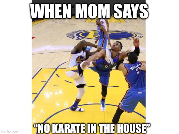 Draymond Green kick | WHEN MOM SAYS; “NO KARATE IN THE HOUSE” | image tagged in karate,basketball | made w/ Imgflip meme maker