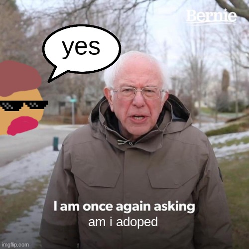 adoped | yes; am i adoped | image tagged in memes,bernie i am once again asking for your support | made w/ Imgflip meme maker