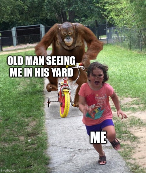 Orangutan chasing girl on a tricycle | OLD MAN SEEING ME IN HIS YARD; ME | image tagged in orangutan chasing girl on a tricycle | made w/ Imgflip meme maker