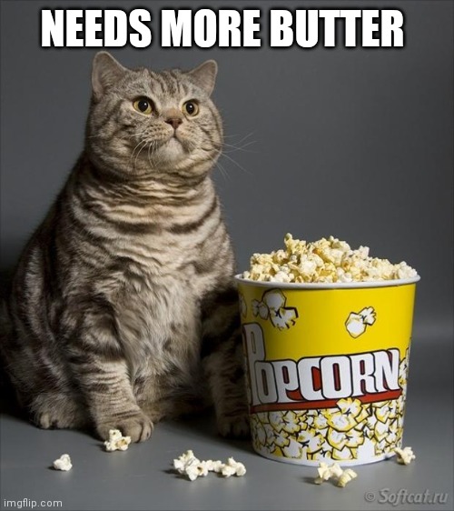 Cat eating popcorn | NEEDS MORE BUTTER | image tagged in cat eating popcorn | made w/ Imgflip meme maker