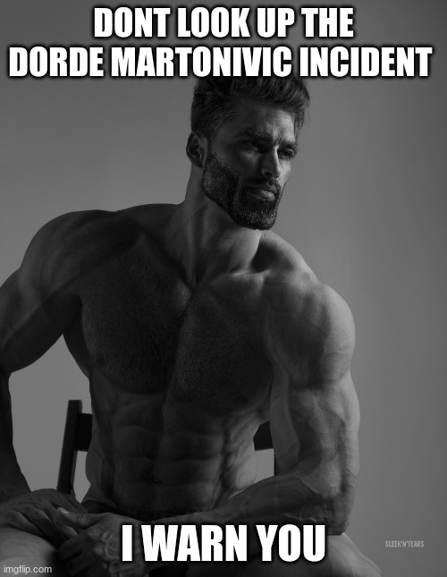 Giga Chad | DONT LOOK UP THE DORDE MARTONIVIC INCIDENT; I WARN YOU | image tagged in giga chad | made w/ Imgflip meme maker