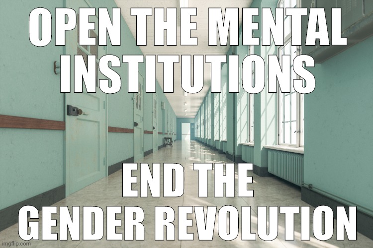 End it. | OPEN THE MENTAL INSTITUTIONS; END THE GENDER REVOLUTION | image tagged in memes | made w/ Imgflip meme maker