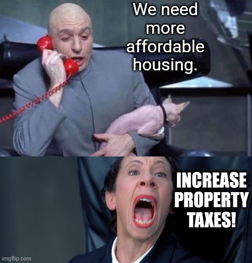 Dr Evil and Frau | We need more affordable housing. INCREASE PROPERTY TAXES! | image tagged in dr evil and frau | made w/ Imgflip meme maker