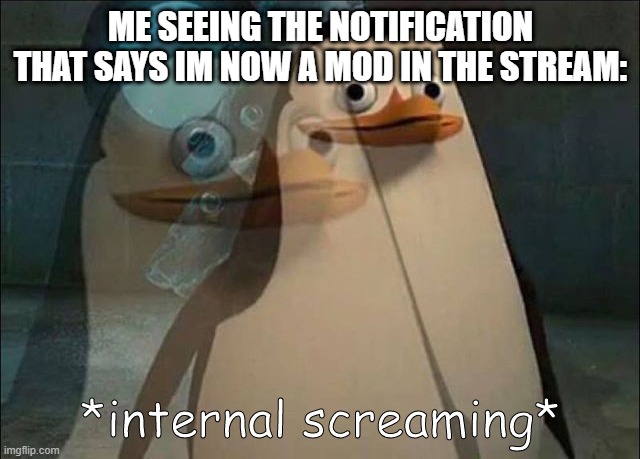 *inhale* AAAAAAAAAAAAAAAAAAAAAAAAAAAAAAAAAAAAAAAAAAA- | ME SEEING THE NOTIFICATION THAT SAYS IM NOW A MOD IN THE STREAM: | image tagged in private internal screaming | made w/ Imgflip meme maker