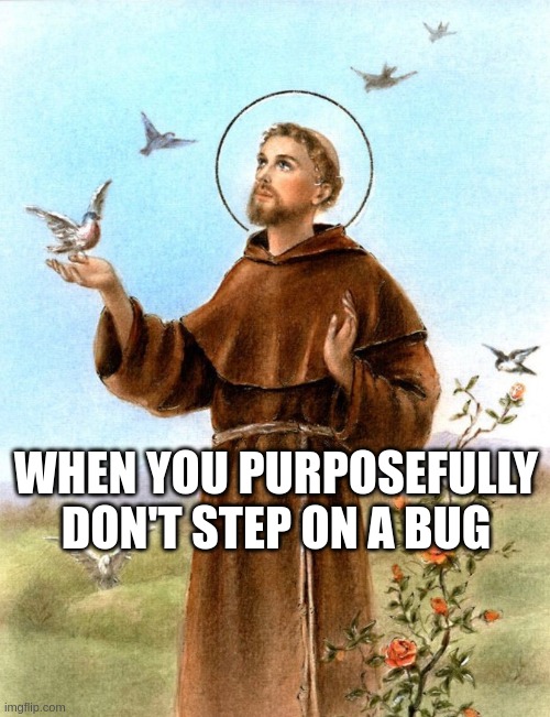 Saint Francis of Assisi | WHEN YOU PURPOSEFULLY DON'T STEP ON A BUG | image tagged in saint francis of assisi | made w/ Imgflip meme maker