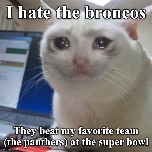 . (Idk if this should be approved but the Panthers are my fav too -Cinder) | I hate the broncos; They beat my favorite team (the panthers) at the super bowl | image tagged in crying cat | made w/ Imgflip meme maker