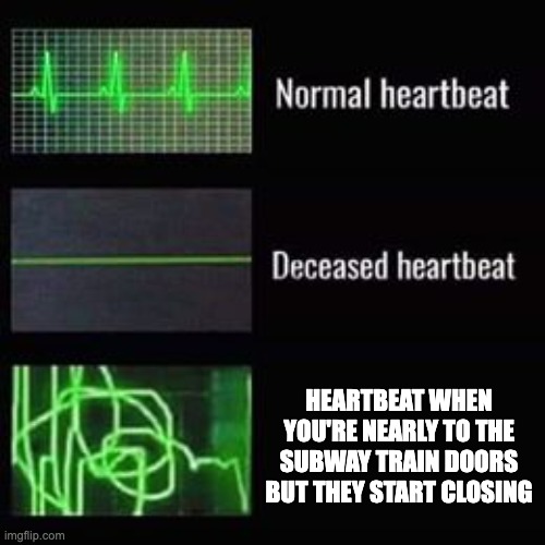 Would you stop or run for it? Let me know in the comments! | HEARTBEAT WHEN YOU'RE NEARLY TO THE SUBWAY TRAIN DOORS BUT THEY START CLOSING | image tagged in heartbeat rate,train,subway,panik,run,speed | made w/ Imgflip meme maker