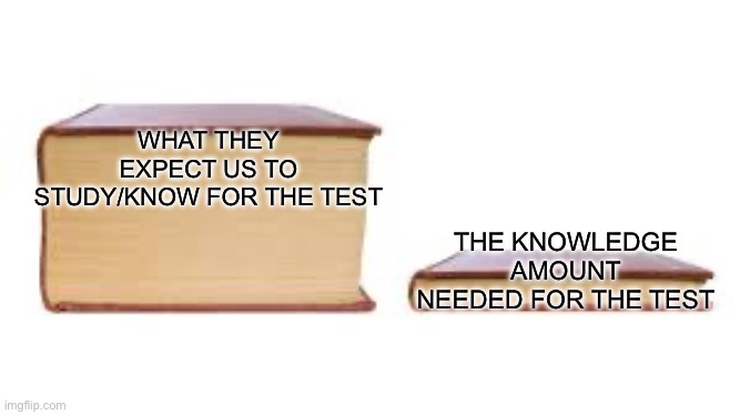 Big book small book | WHAT THEY EXPECT US TO STUDY/KNOW FOR THE TEST; THE KNOWLEDGE AMOUNT NEEDED FOR THE TEST | image tagged in big book small book | made w/ Imgflip meme maker