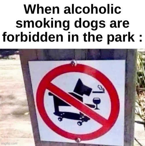 Bruh | When alcoholic smoking dogs are forbidden in the park : | image tagged in memes,funny,dogs,smoke,alcohol,front page plz | made w/ Imgflip meme maker