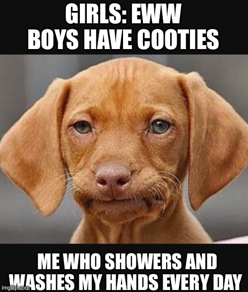 Straight face dog | GIRLS: EWW BOYS HAVE COOTIES; ME WHO SHOWERS AND WASHES MY HANDS EVERY DAY | image tagged in straight face dog,so true memes | made w/ Imgflip meme maker