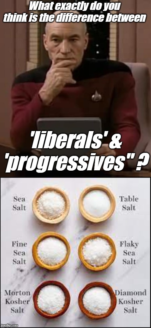 What exactly do you think is the difference between 'liberals' & 'progressives" ? | image tagged in picard thinking | made w/ Imgflip meme maker