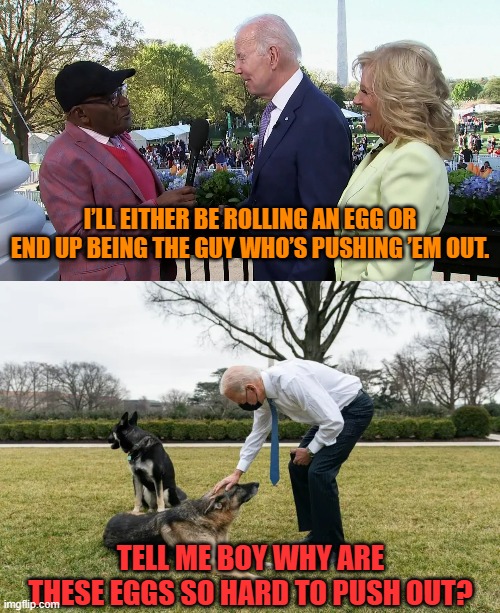 So Many Gaffes | I’LL EITHER BE ROLLING AN EGG OR END UP BEING THE GUY WHO’S PUSHING ’EM OUT. TELL ME BOY WHY ARE THESE EGGS SO HARD TO PUSH OUT? | image tagged in memes,politics,joe biden,gaffe,lays,easter eggs | made w/ Imgflip meme maker