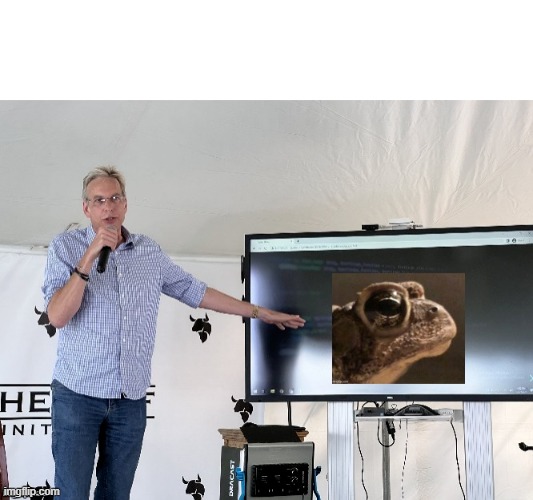 Value Frog | image tagged in frog | made w/ Imgflip meme maker