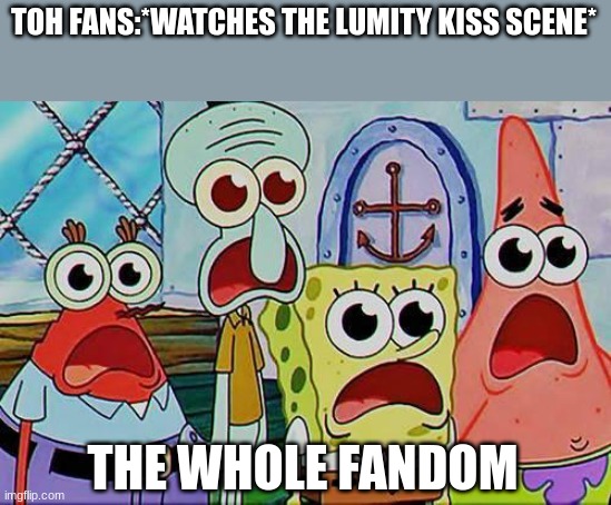 lmao mr krabs bro | TOH FANS:*WATCHES THE LUMITY KISS SCENE*; THE WHOLE FANDOM | image tagged in mr krabs squidward patrick and spongebob,the owl house | made w/ Imgflip meme maker