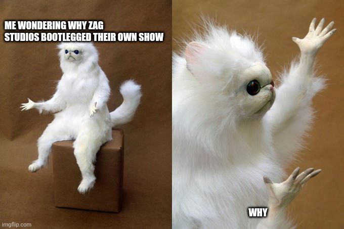 Why | ME WONDERING WHY ZAG STUDIOS BOOTLEGGED THEIR OWN SHOW; WHY | image tagged in memes,persian cat room guardian,bootleg,rip off | made w/ Imgflip meme maker